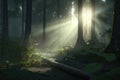 Dark rainforest sun rays through trees with dense fog digital illustration AI generated