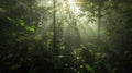 Dark rainforest, sun rays through the trees, rich jungle greenery Royalty Free Stock Photo