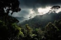 dark rainforest with view of sunny sky and clouds