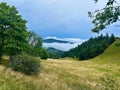 Dark Rainy Ambiance Above the Clouds: Markstein Mountains, Vosges Forest of Fir Trees in Alsace