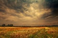 Dark rainy clouds