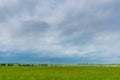 Dark rainy clouds hang on a green spring field