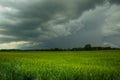 Dark rainy clouds over the green field