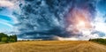 Dark rainy clouds over the wheat field