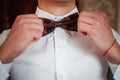 Dark red bowtie on the grooms neck Royalty Free Stock Photo