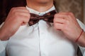 Dark red bowtie on the grooms neck Royalty Free Stock Photo