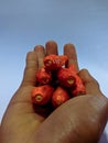 Dark red cayenne pepper, neatly lined on white paper. Neatly arranged cayenne pepper. Hand holding cayenne pepper.