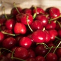 Dark red cherries in a day Royalty Free Stock Photo