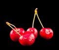 Dark-Red cherries, isolated, black background Royalty Free Stock Photo