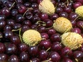 Dark red cherries and Lychees Royalty Free Stock Photo