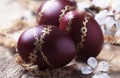 Dark red Easter eggs with gold pattern, apricot flowers,  rustic wooden background, selective focus Royalty Free Stock Photo