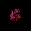 dark red fireworks burst in the air light up the sky with dazzling display and Colorful fireworks festivals on black Royalty Free Stock Photo