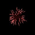 dark red fireworks burst in the air light up the sky with dazzling display and Colorful fireworks festivals on black Royalty Free Stock Photo