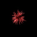 dark red fireworks burst in the air light up the sky with dazzling display and Colorful fireworks festivals on black Royalty Free Stock Photo