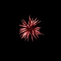 dark red fireworks burst in the air light up the sky with dazzling display and Colorful fireworks festivals on black Royalty Free Stock Photo