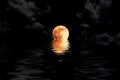 Dark red full moon in cloud with water reflection closeup showin