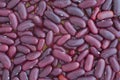 Dark red kidney beans Royalty Free Stock Photo