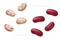 Dark red kidney and cranberry beans isolated on white background. Top view Royalty Free Stock Photo