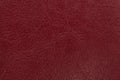 Dark red leather texture background. Closeup photo. Royalty Free Stock Photo