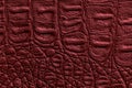 Dark red leather texture background, closeup. Wine reptile skin fabric, macro Royalty Free Stock Photo