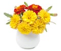 Dark red marigolds flowers and small summer yellow chrysanthemum Royalty Free Stock Photo