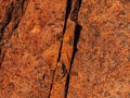 Dark red orange brown rock texture with cracks. Close-up. Rough mountain surface. Royalty Free Stock Photo