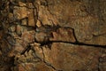 Dark red orange brown rock texture with cracks. Like rusty metal. Close-up. Royalty Free Stock Photo