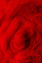 Dark red plush fabric swirl