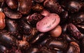 Dark red and purple kidney beans, close up Royalty Free Stock Photo