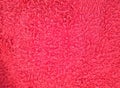 Dark red purple towel texture