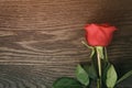 Dark red rose on wood table with copy space for something Royalty Free Stock Photo