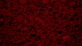 Dark red texture of porous stone, sponge. Natural background. Royalty Free Stock Photo