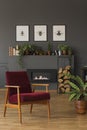 Dark red wooden armchair next to plant in grey living room inter Royalty Free Stock Photo
