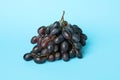 Dark ripe grape on blue background, close up Royalty Free Stock Photo