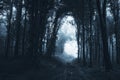 Dark road through the mysterious forest Royalty Free Stock Photo