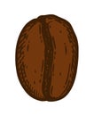 Dark roasted coffee bean isolated over white