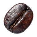Dark roasted coffee bean on transparent background AI Generated Royalty Free Stock Photo