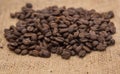 Dark roasted coffee beans Royalty Free Stock Photo