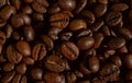 Dark roasted coffeebeans texture - coffebeans background Royalty Free Stock Photo