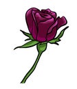 Dark Rose vector isolated