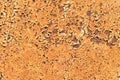 Dark Rusted Metal Texture Background