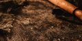 Dark rusted oven tray background. Baking grunge sheet backdrop for cooking. Pastries and bakery, selective focus