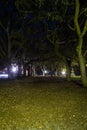 A dark scarry park at night with oak trees along both sides