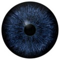 Dark scary blue eyeball, animal and human eye