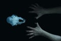 A dark, scary edit of mans hands grasping at an animal skull isolated on a black background