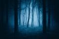 Dark scary forest with creepy trees Royalty Free Stock Photo