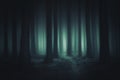 Dark and scary forest Royalty Free Stock Photo