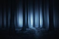 Dark and scary forest at night Royalty Free Stock Photo