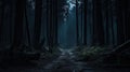 Dark and scary forest at the night Royalty Free Stock Photo