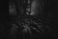 Dark and scary forest with roots